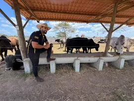 CURSO BAIANO CAPACITA PECUARISTAS PARA GESTÃO DO CONFINAMENTO BOVINO