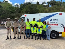 SEMANA NACIONAL DE TRÂNSITO: ATROPELAMENTOS CAUSAM MAIS DA METADE DAS MORTES NAS RODOVIAS BAIANAS