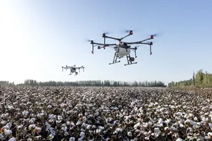 NO 2º TRIMESTRE DE 2026, AGRONEGÓCIO REPRESENTOU 26,1% DA ECONOMIA BAIANA