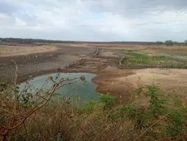 BAHIA PROPÕE MEDIDAS CONTRA MUDANÇAS CLIMÁTICAS SEVERAS; ENTENDA