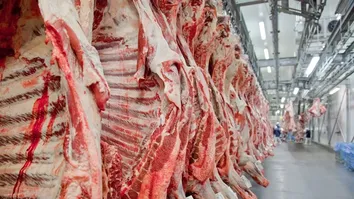 MESMO COM TARIFAÇO, CARNE BOVINA AUMENTA EXPORTAÇÕES PARA O MERCADO DOS EUA