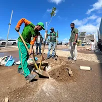 ORLA DE ONDINA RECEBE 22 NOVAS ÁRVORES APÓS SOLICITAÇÃO DE MORADORES