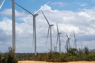 LEILÃO ATRAI QUASE R$ 50 BILHÕES PARA INVESTIMENTOS VERDES