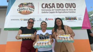 BAHIA FORTALECE PRODUÇÃO DE OVOS NA AGRICULTURA FAMILIAR