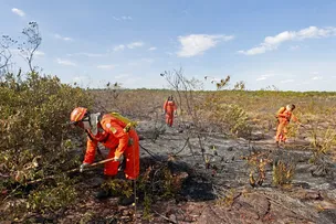 BOMBEIROS COMPLETAM 100 DIAS DE OPERAÇÃO CONTRA INCÊNDIOS FLORESTAIS COM REDUÇÃO DE 29% NOS FOCOS DE CALOR
