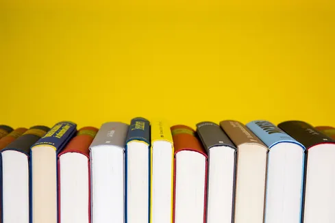 A BAÍA REINVENTADA NOS LIVROS